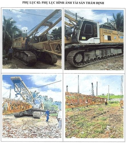 Công ty đấu giá hợp danh Sao Việt – đang đấu giá tài sản
