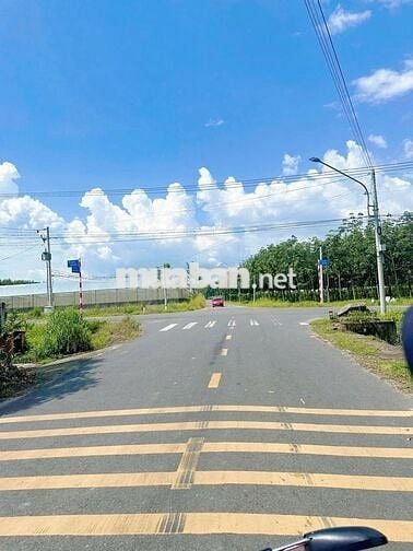 Bán đất HCM trên mặt tiền DH504 32m, nở hậu vuông vức 450tr 380m2