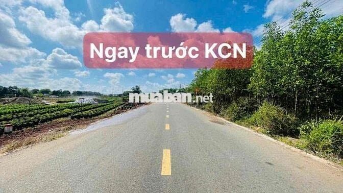 Một cặp đất liền kề nhau cần bán tổng 370m2 sau lưng chợ và UB xã