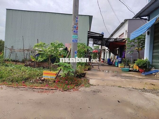 LÔ ĐẤT CAO RÁO – VỊ TRÍ ĐẸP -Mỹ Hạnh – Đức Hòa – Long An