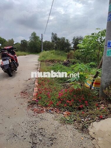 LÔ ĐẤT CAO RÁO – VỊ TRÍ ĐẸP -Mỹ Hạnh – Đức Hòa – Long An