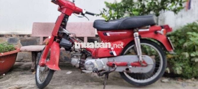 DD đỏ