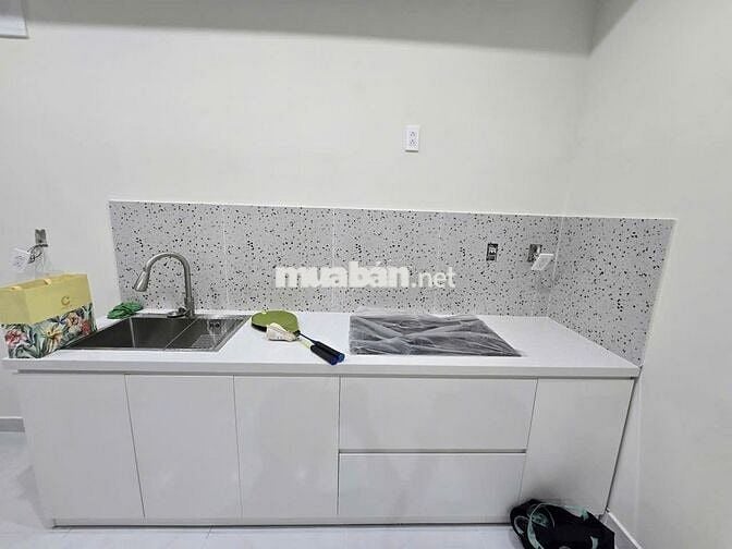 Cho thuê căn hộ dịch vụ Ascent Lakeside, 45m2, 1PN, 1WC, uy tín, Hot!