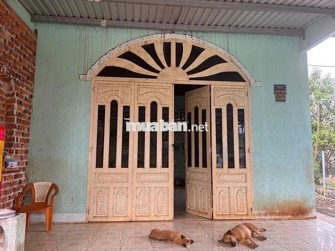 Bán gần 500m2 đất, có 300m thổ cư, tặng nhà cấp 4 80m2