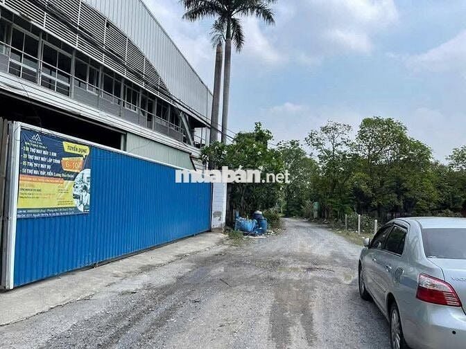 Tân An Hội 441m2 thổ 80m2, 2 mặt tiền đường Nguyễn Văn Khạ. Chỉ 2,4 tỷ