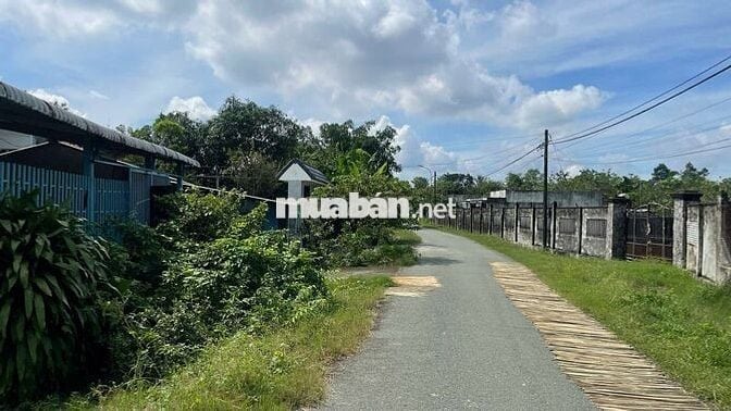 Đất thổ cư 172m2 giá chỉ 1,19 tỷ ngay tỉnh lộ 7 mặt tiền đường nhựa