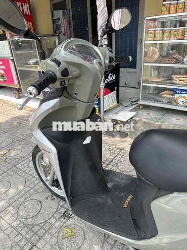 vison xám si măng giá rẻ bất ngờ