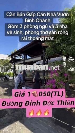 🏦Gia Đình Tôi Cần Bán Gấp Căn Nhà Vườn Thổ Cư Sẵn 100m2☎️