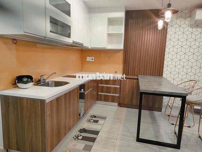 Cho Thuê Căn Hộ Chung Cư Biconsi Chợ Đình - Phú Lợi - Bình Dương
