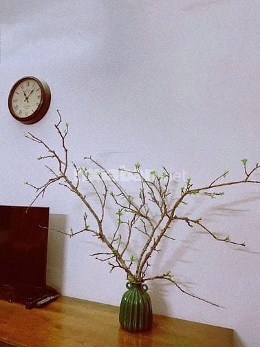 CHÍNH CHỦ CẦN TIỀN BÁN GẤP NHÀ ĐẸP XUÂN LA - TÂY HỒ
