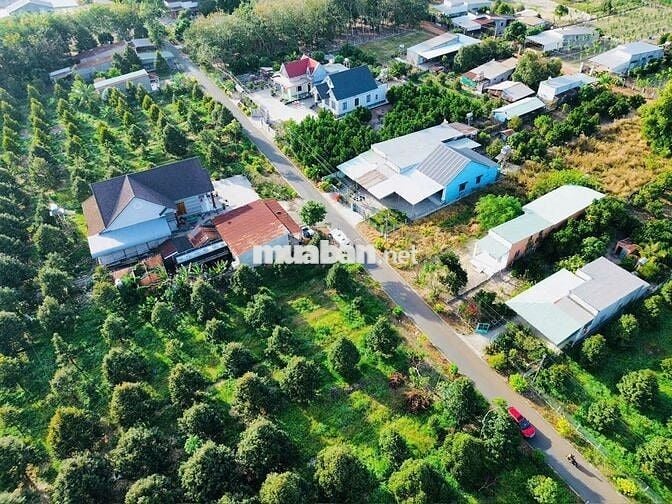 Bán đất tại Dầu Tiếng - Bình Dương 200m2 đường nhựa giá chỉ 250 Triệu