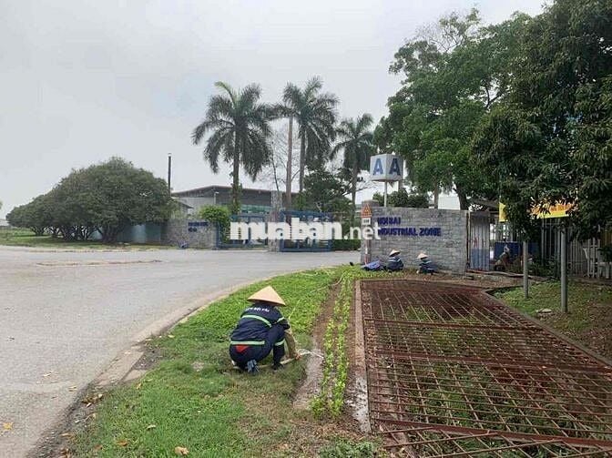 [SIÊU HIẾM]-63m2 -Nhỉnh 2TỶ-Mai Đình-Full TC-Gần KCN&Sân Bay-Ngõ OTO