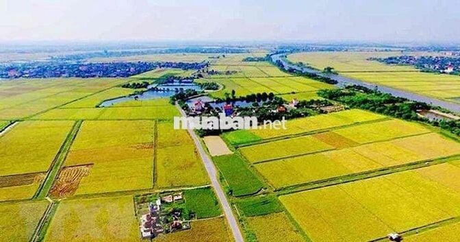 bán đất ruộng xã nhà bè-hiệp Phước tphcm