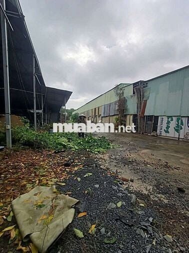 Cho thuê xưởng & kho bãi 1400m2, Trảng Dài, Biên Hoà, Đồng Nai.
