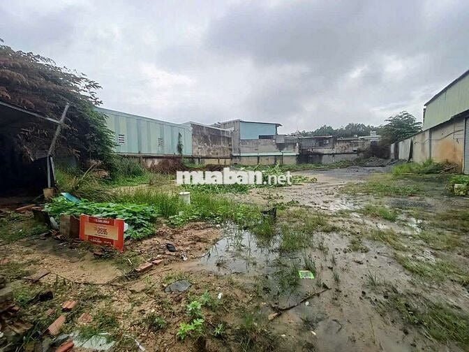 Cho thuê xưởng & kho bãi 1400m2, Trảng Dài, Biên Hoà, Đồng Nai.