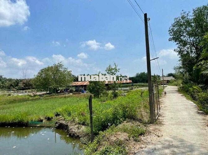 bán đất ruộng xã nhà bè-hiệp Phước tphcm