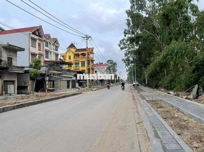 CHỦ VỀ QUÊ CẦN BÁN GẤP – ĐẤT ĐẸP CỔ NHUẾ 2 – 200M² SIÊU TIỀM NĂ