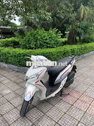 Shark 125 SWM
