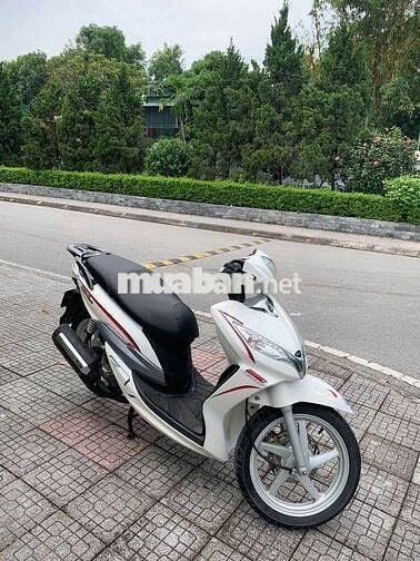 Shark 125 SWM