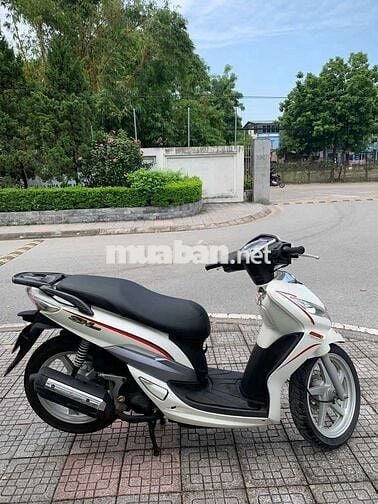 Shark 125 SWM
