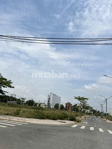 Bán gấp 1ty450 đất thổ cư 107m2 shr đường 835B có thương lượng nhẹ