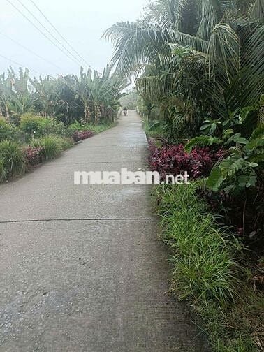 Bán đất giá tốt gần trung tâm Đại Ngãi – Cần Thơ mở rộng, DT 4635 m2