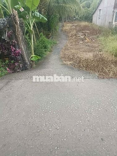 Bán đất giá tốt gần trung tâm Đại Ngãi – Cần Thơ mở rộng, DT 4635 m2