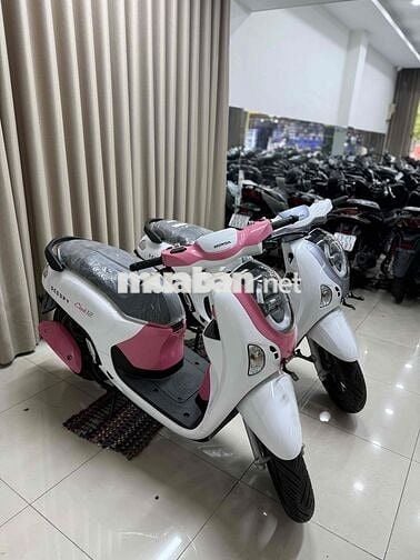 Scopi mới 100%  cần bán