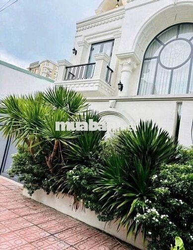 CHO THUÊ BIỆT THỰ PHƯỜNG THỐNG NHẤT GIÁ 25 TRIỆU