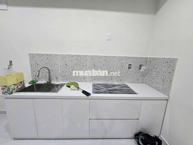 Chính chủ cho thuê Ascent Lakeside 45m2/1PN, NTCB, ML, bếp, giá 10tr