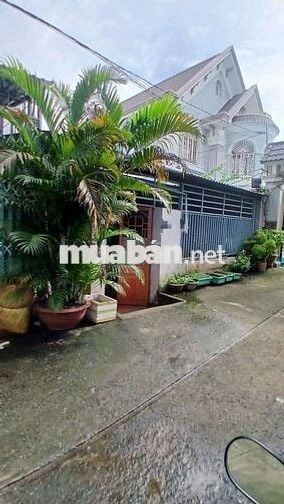 Hẻm 6m - Trần Thị Cờ - Ngay Lê Văn Khương - Ngang 7,5m - 173m2