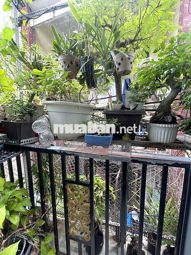 Bán nhà hẻm thông CMT8 2PN hơn 1 tỷ SHR