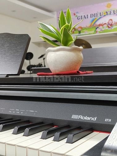 Khuyến mãi organ và piano điện giá sốc nhân dịp 10/10