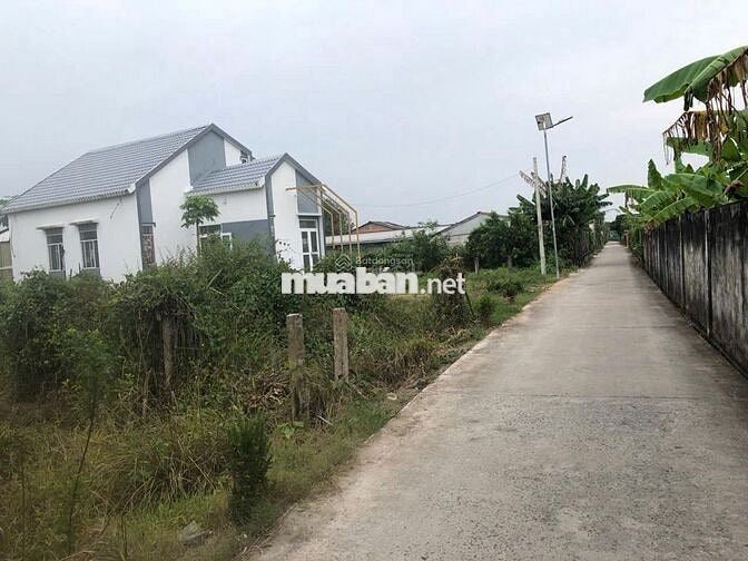 Bán đất lớn Long An 2,014m2 (kèm dãy trọ + nhà cấp 4)