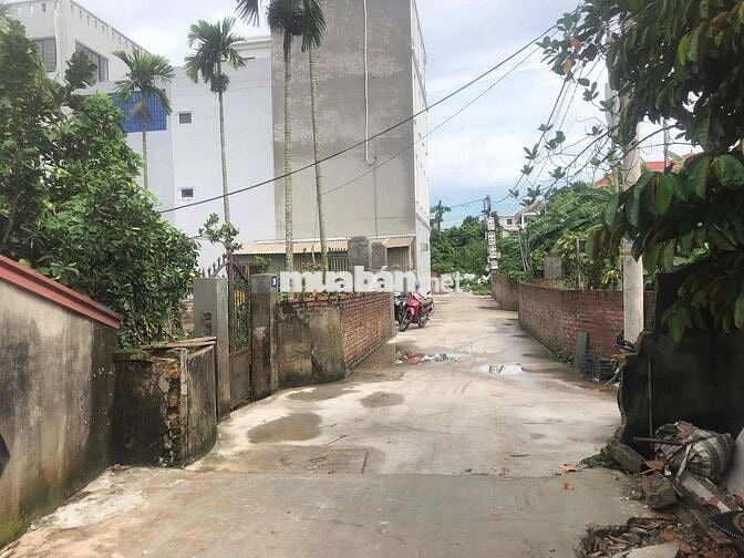 Đất 50m2 ngang 5m Vân Tra, An Đồng, giá chỉ 1,85 tỷ