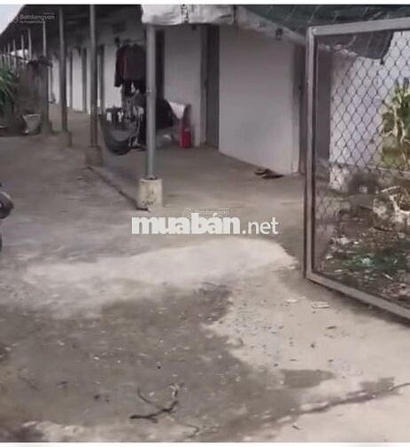 Bán đất lớn Long An 2,014m2 (kèm dãy trọ + nhà cấp 4)