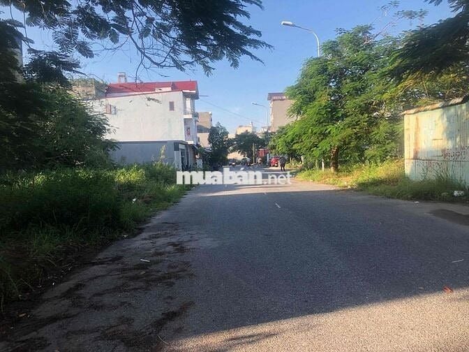Đất 54m2 ngang 4,5m TĐC Bạch Mai, Đồng Thái, An Dương