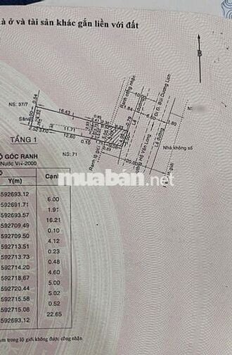 Bán đất MTKD - 125 m2 Hồ Văn Long, BHH B, Bình Tân, 5 x 25 (nở hậu 6m)