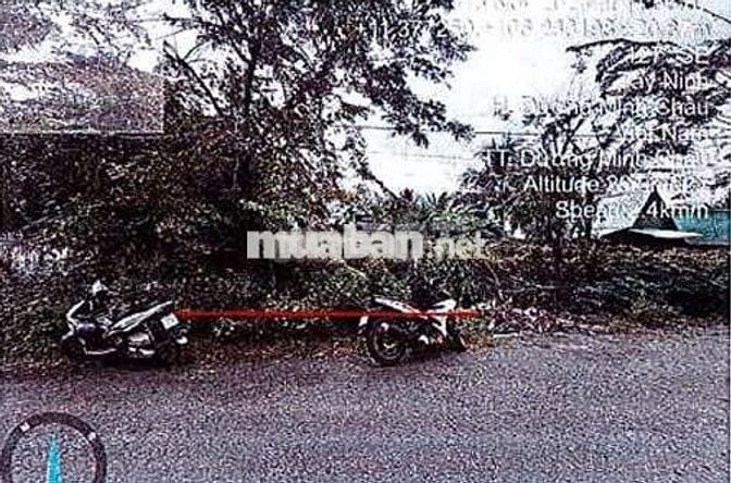 Bán ĐGTS đất tại xã Dương Minh Châu, tỉnh Tây Ninh