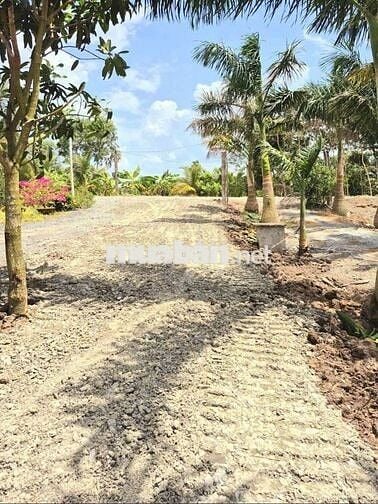 Chỉ 320tr sở hữu 140m2 đất thổ đường ô tô KDC Mỹ Thạnh