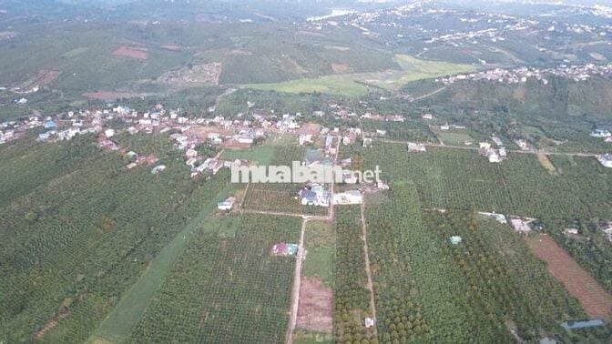 🌿 BÁN ĐẤT TÂN CHÂU – VỊ TRÍ ĐẸP, GẦN QL20, TIỆN ÍCH ĐẦY ĐỦ 🌿