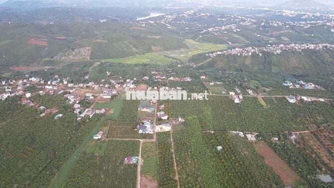 🌿 BÁN ĐẤT TÂN CHÂU – VỊ TRÍ ĐẸP, GẦN QL20, TIỆN ÍCH ĐẦY ĐỦ 🌿
