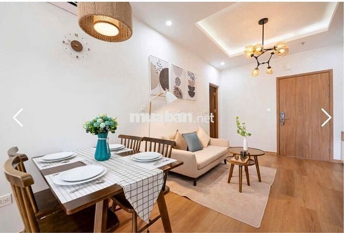 Bán Nhà ở xã hội cho người có thu nhập thấp ở khu vực Long An