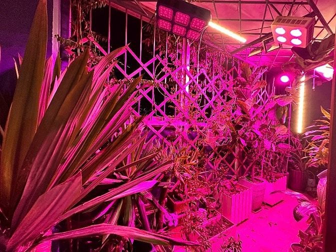Chính chủ cho thuê căn hộ gần 2 công viên đẹp nhất quận