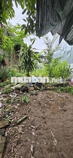 CHÍNH CHỦ CẦN BÁN ĐẤT GẦN KIM GIANG CẦU TÓ, Ô TÔ NGAY GẦN ĐẤT CHÍNH CHỦ CẦN BÁN ĐẤT GẦN KIM GIANG CẦU TÓ, Ô TÔ NGAY GẦN ĐẤT