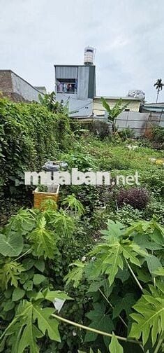 CHÍNH CHỦ CẦN BÁN ĐẤT GẦN KIM GIANG CẦU TÓ, Ô TÔ NGAY GẦN ĐẤT