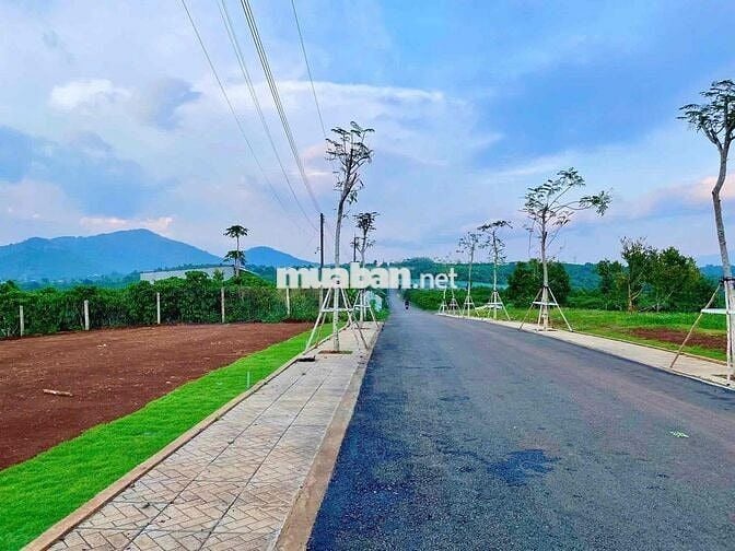 BÁN ĐẤT DI LINH CÁCH TP BẢO LỘC 10 PHÚT CHẠY XE CÁCH QLO20 CHỈ 1,5KM