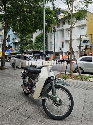 Honda Cub 81-50 gin mộc