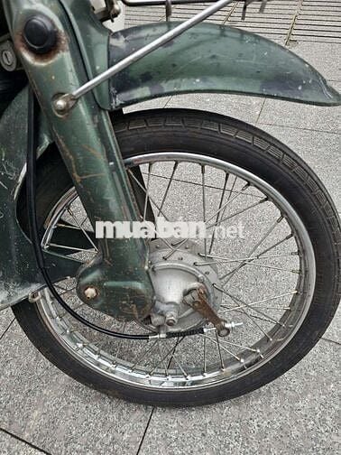 Honda Cub 81-50 gin mộc