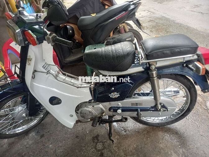 Cup nhật 70cc